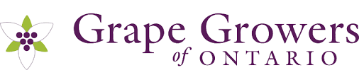 Grape Growers of Ontario
